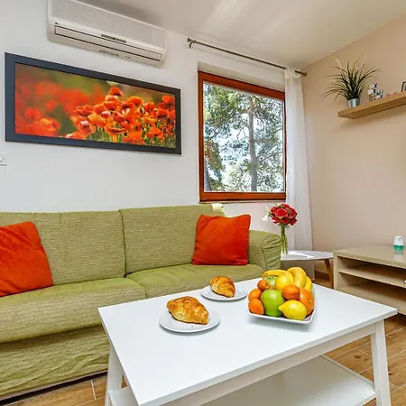 阿尔马雷公寓 罗维尼